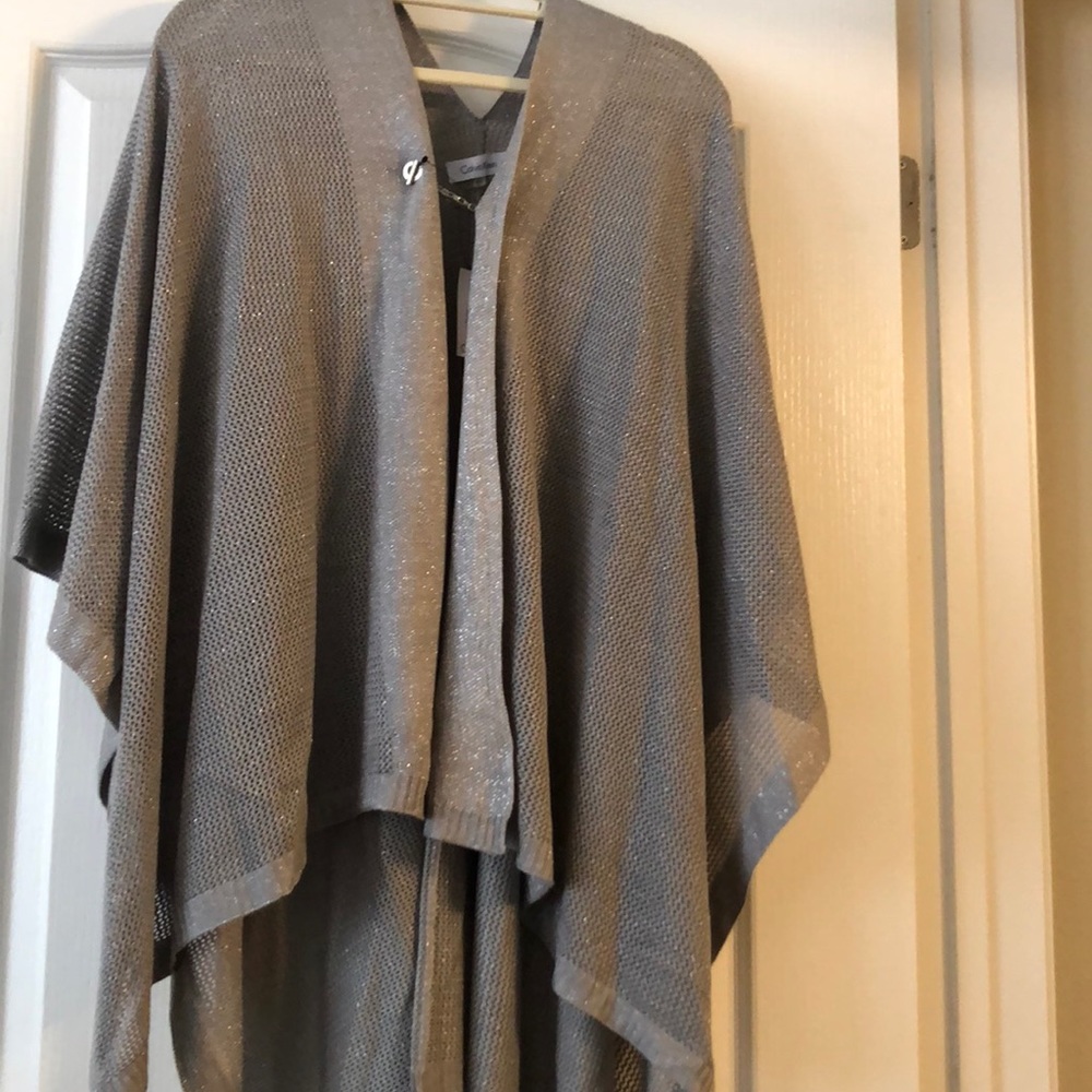 Sliver Gray cover